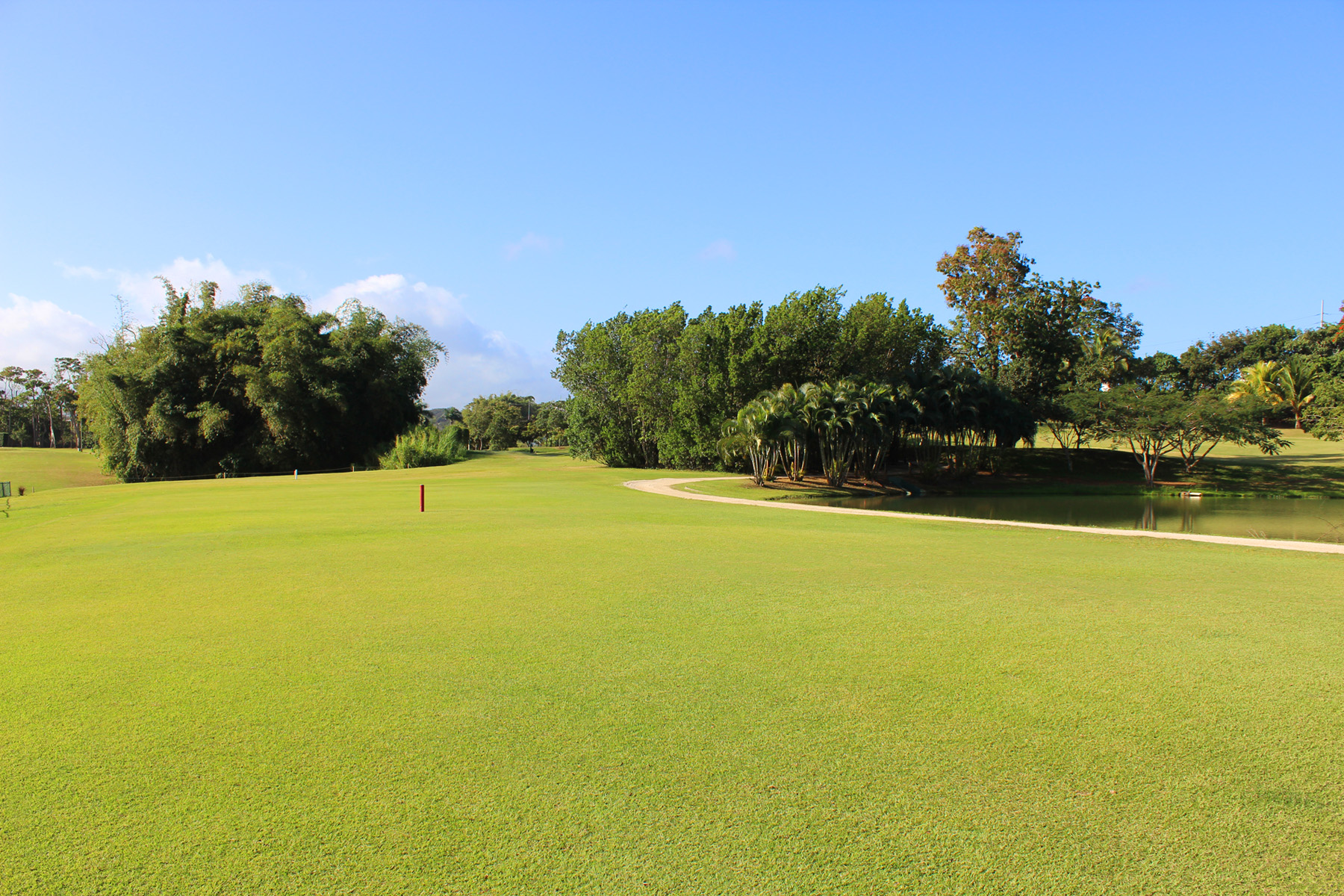 Río Bayamón Golf Course