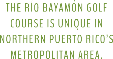 The Río Bayamón Golf Course is unique in Northern Puerto Rico’s metropolitan area. 